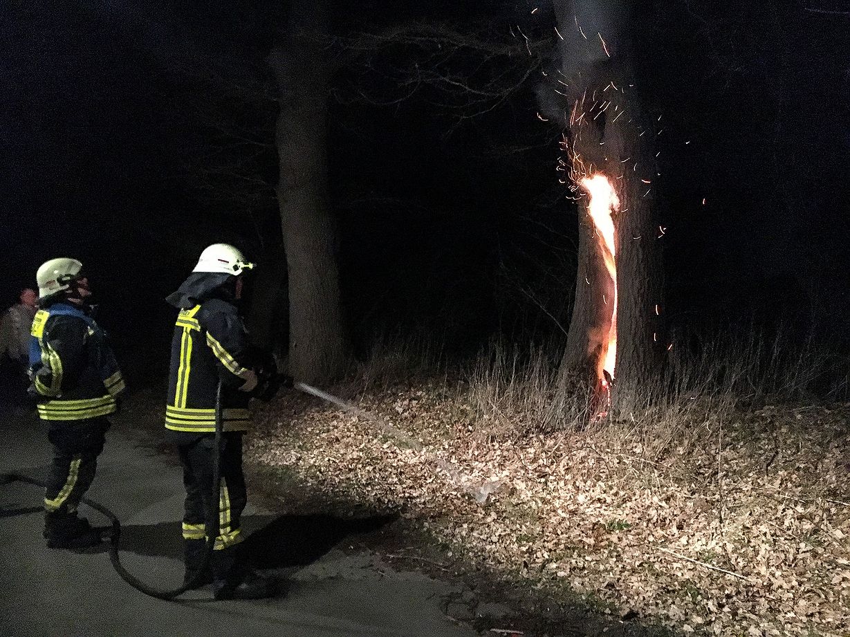 Brennender Baum – Feuerwehr Langförden